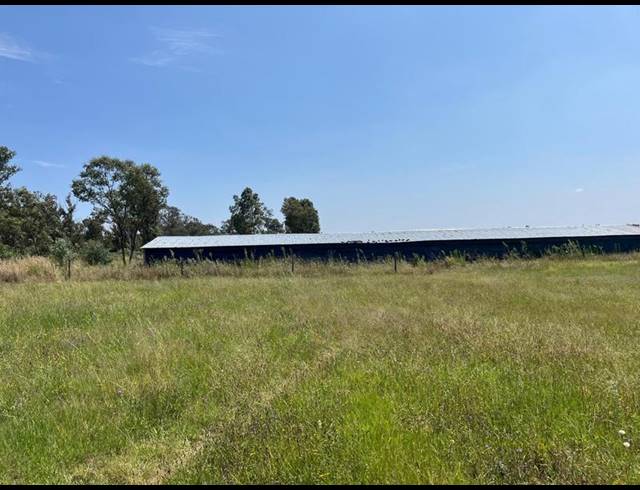 FARM FOR SALE IN WALKERVILLE CENTRAL